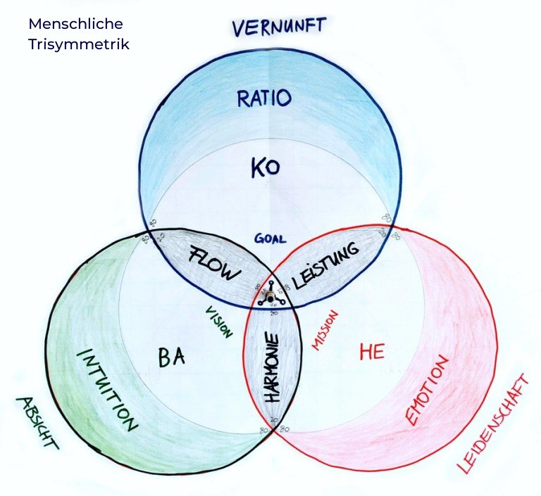 Menschliche Trisymmetrik Wirkungsweise KOHEBA