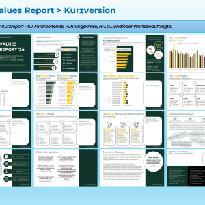 EIVA-Values-Report_Demos-15